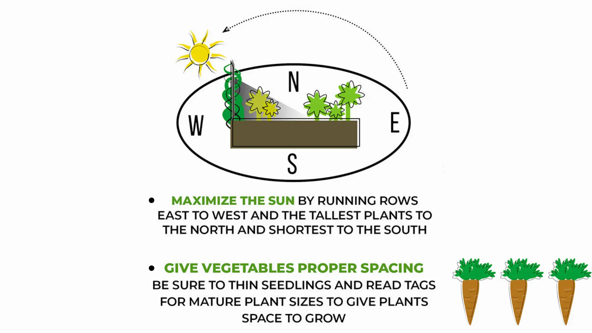 Common Mistakes to Avoid in Vegetable Gardening