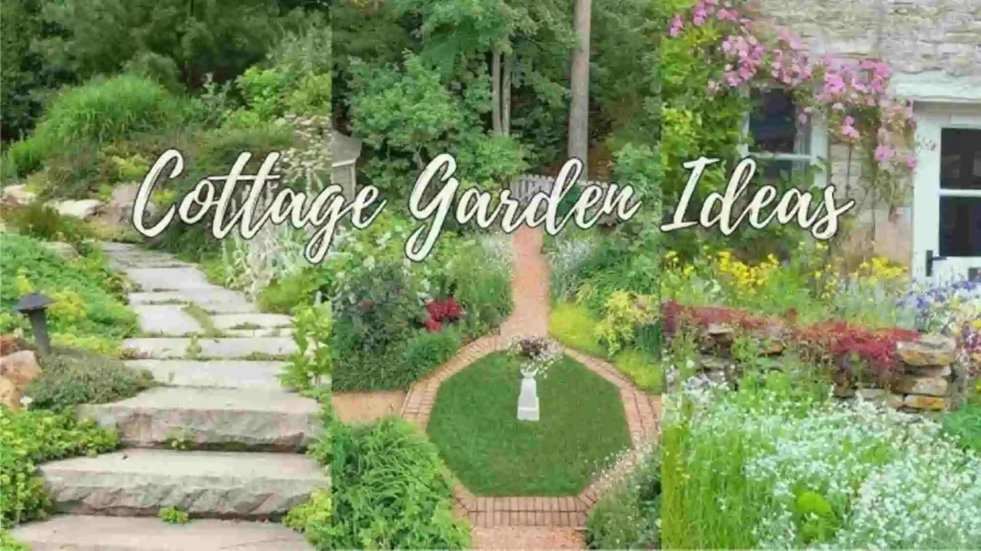 Cottage garden ideas