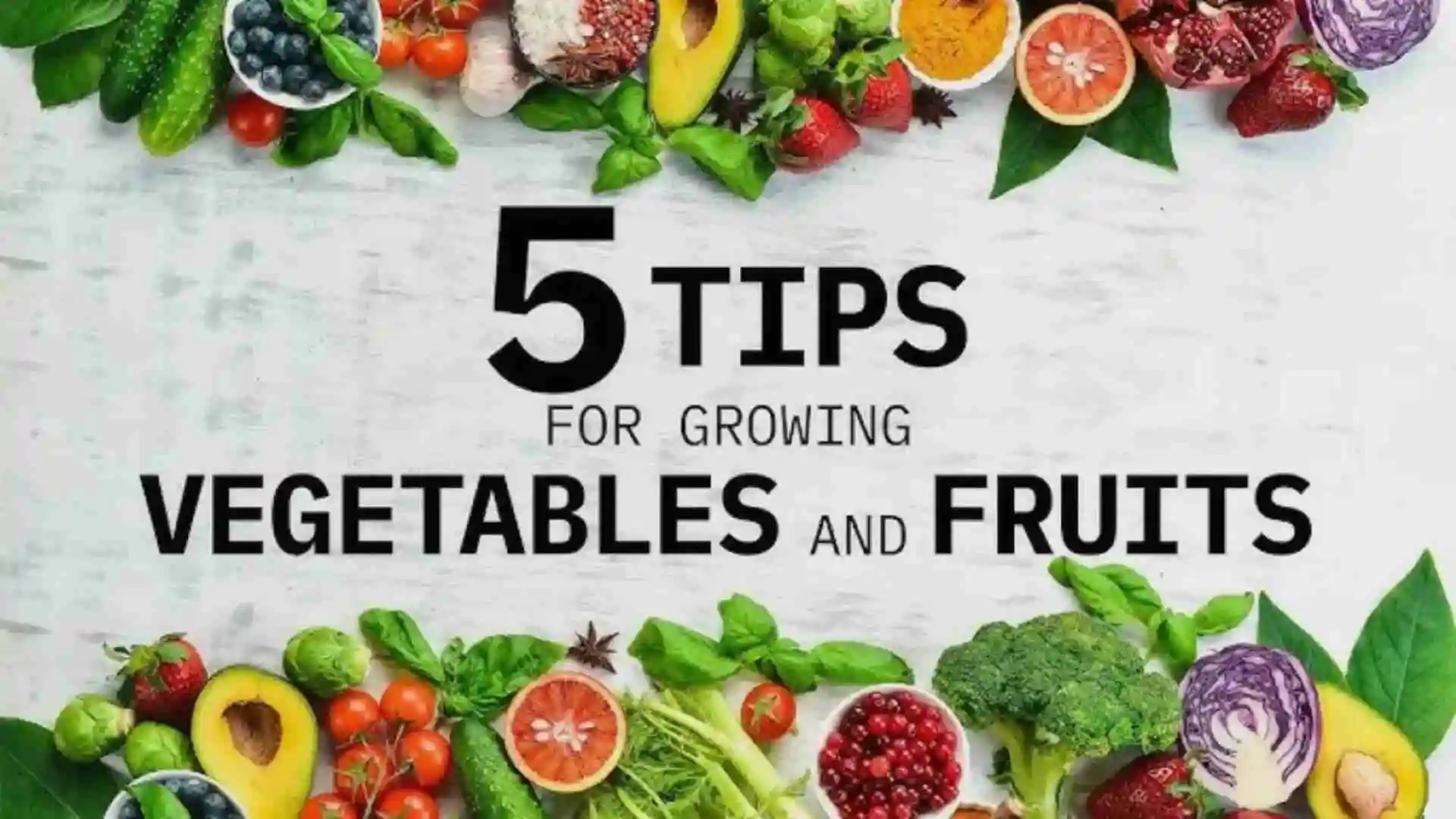 Expert Tips for Advanced Fruit Gardening