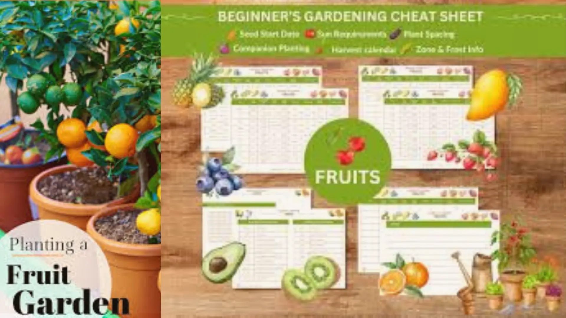 Getting Started with Fruit Gardening
