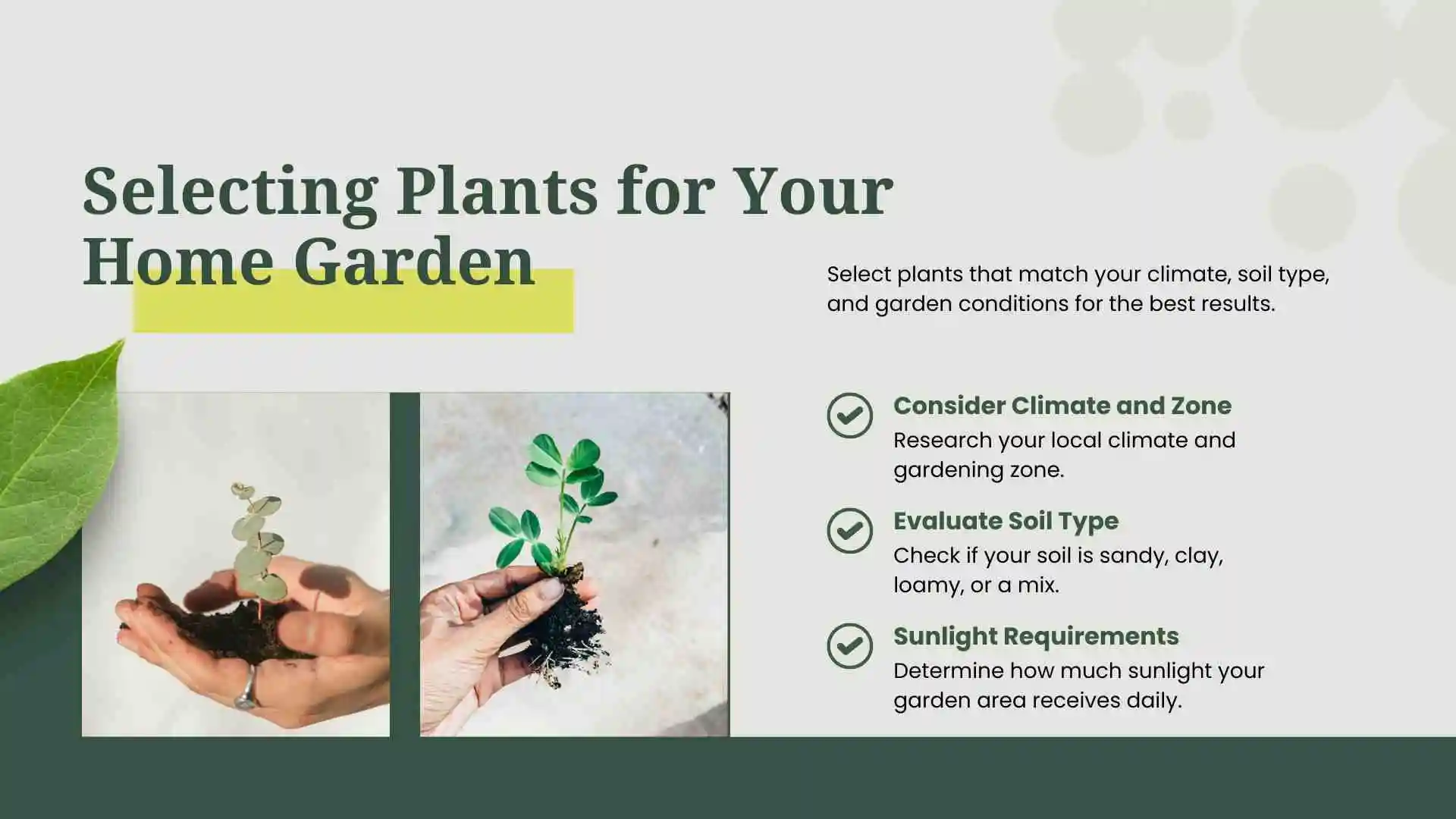 Growing Your Own Food at Home