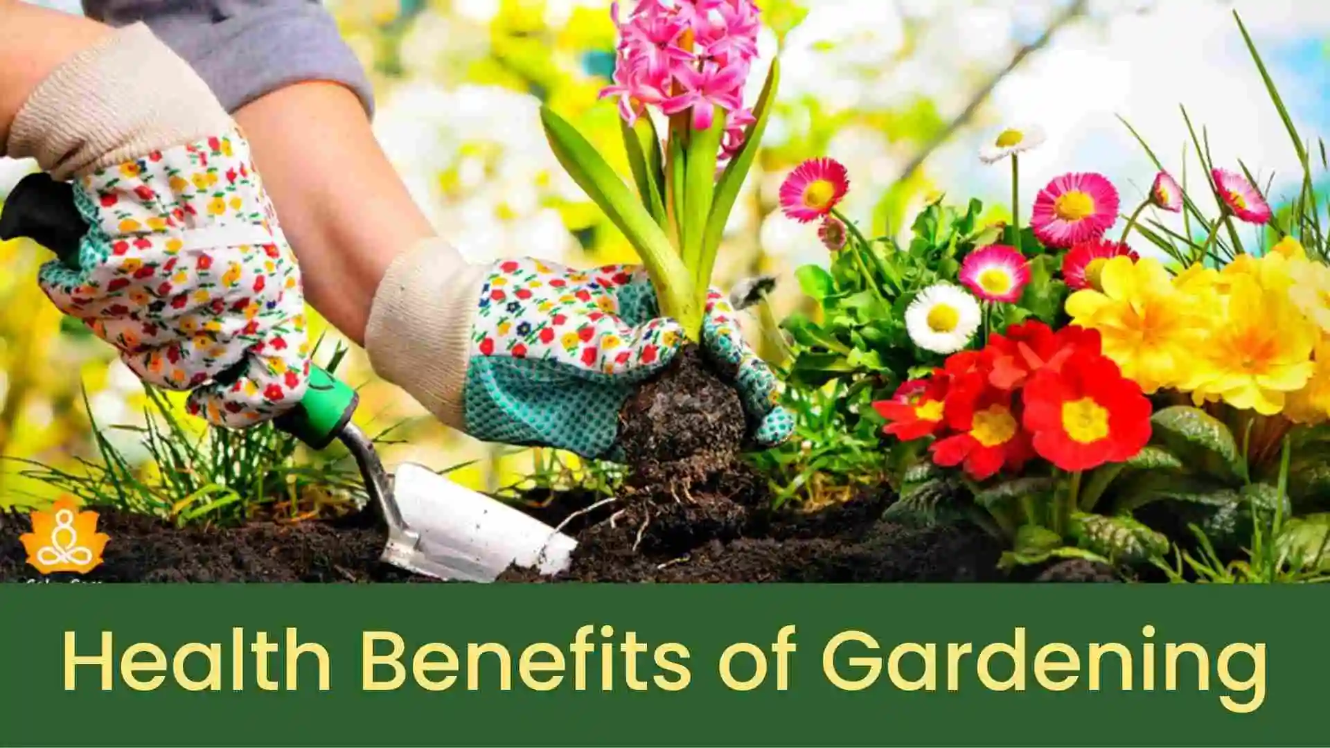 Health Benefits of Gardening