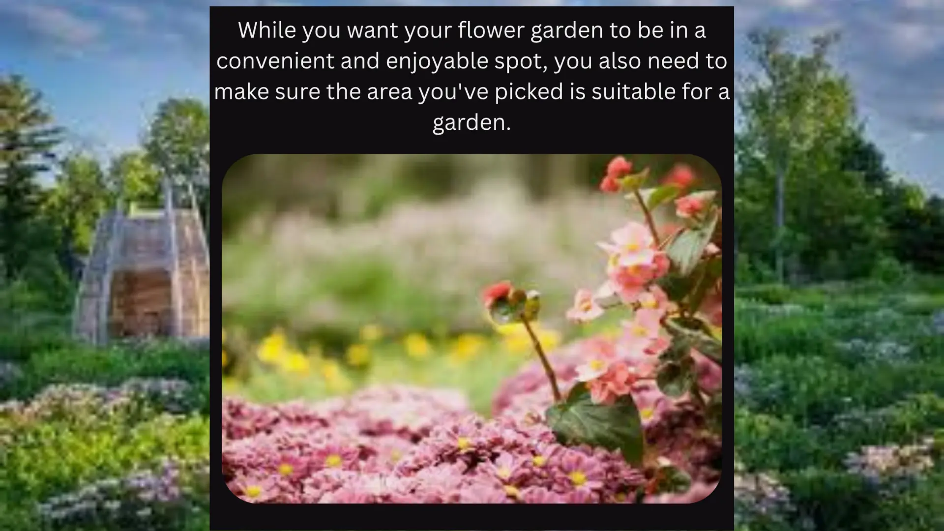 How to Start Your First Flower Garden