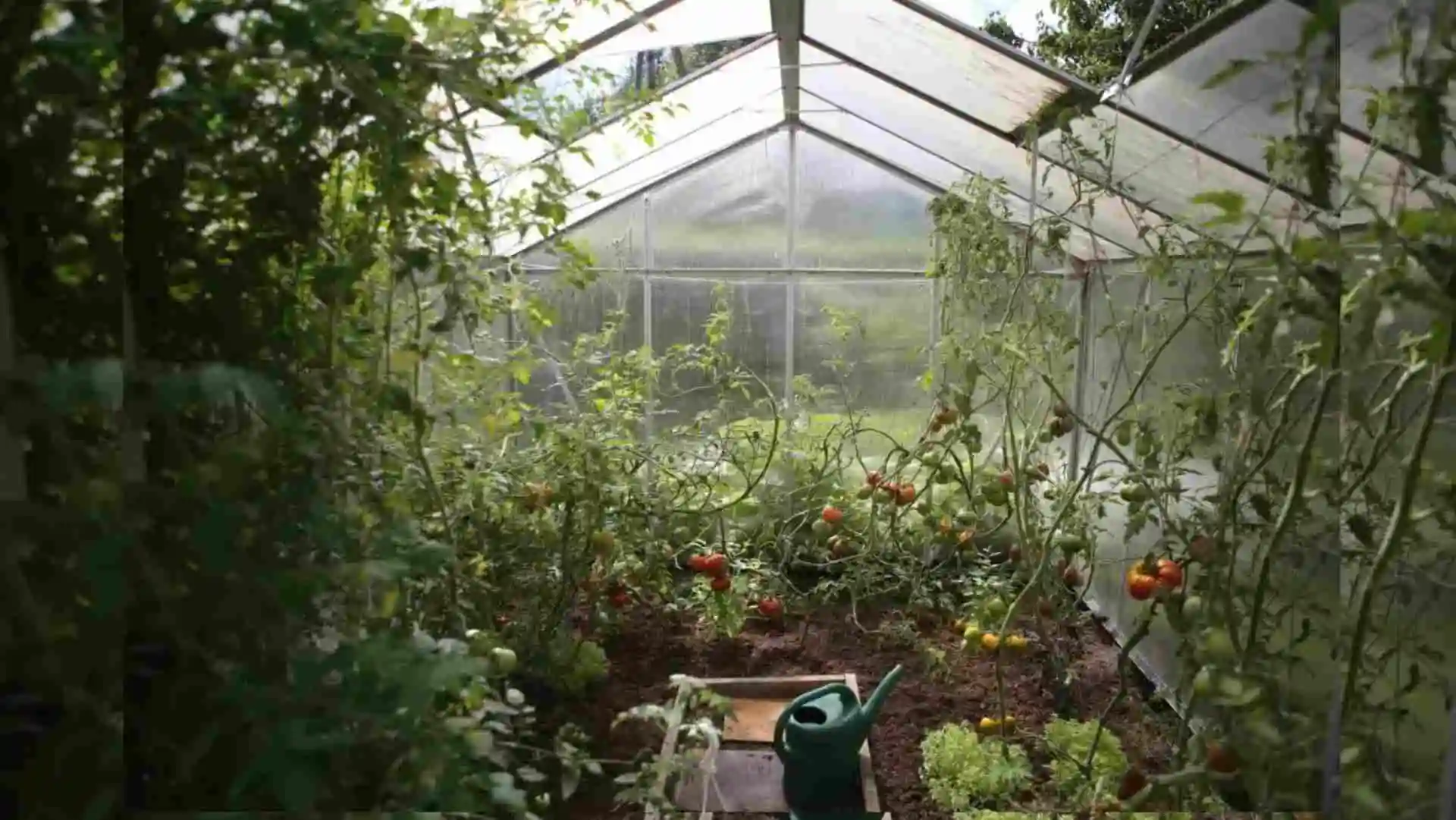Incorporating Greenhouse