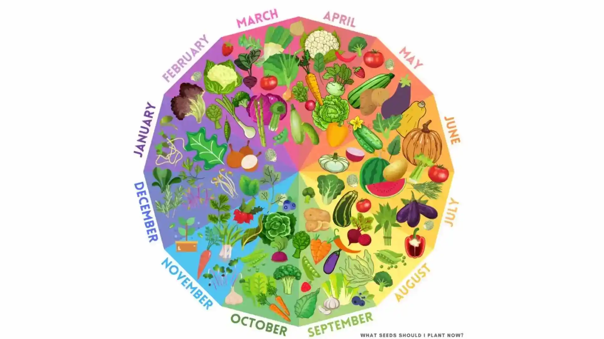 Planting Schedule for Vegetables