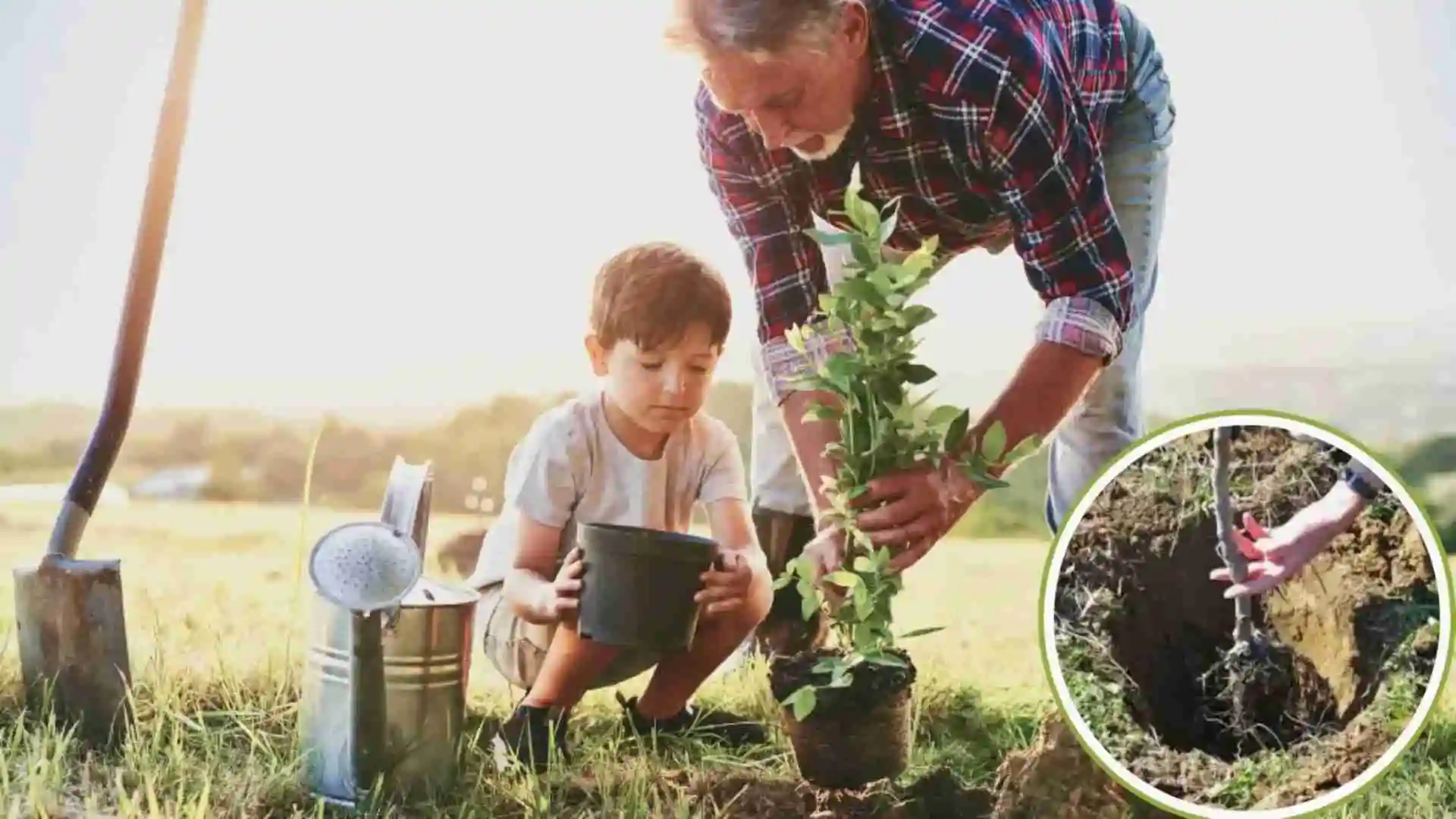 Planting Your First Fruit Tree
