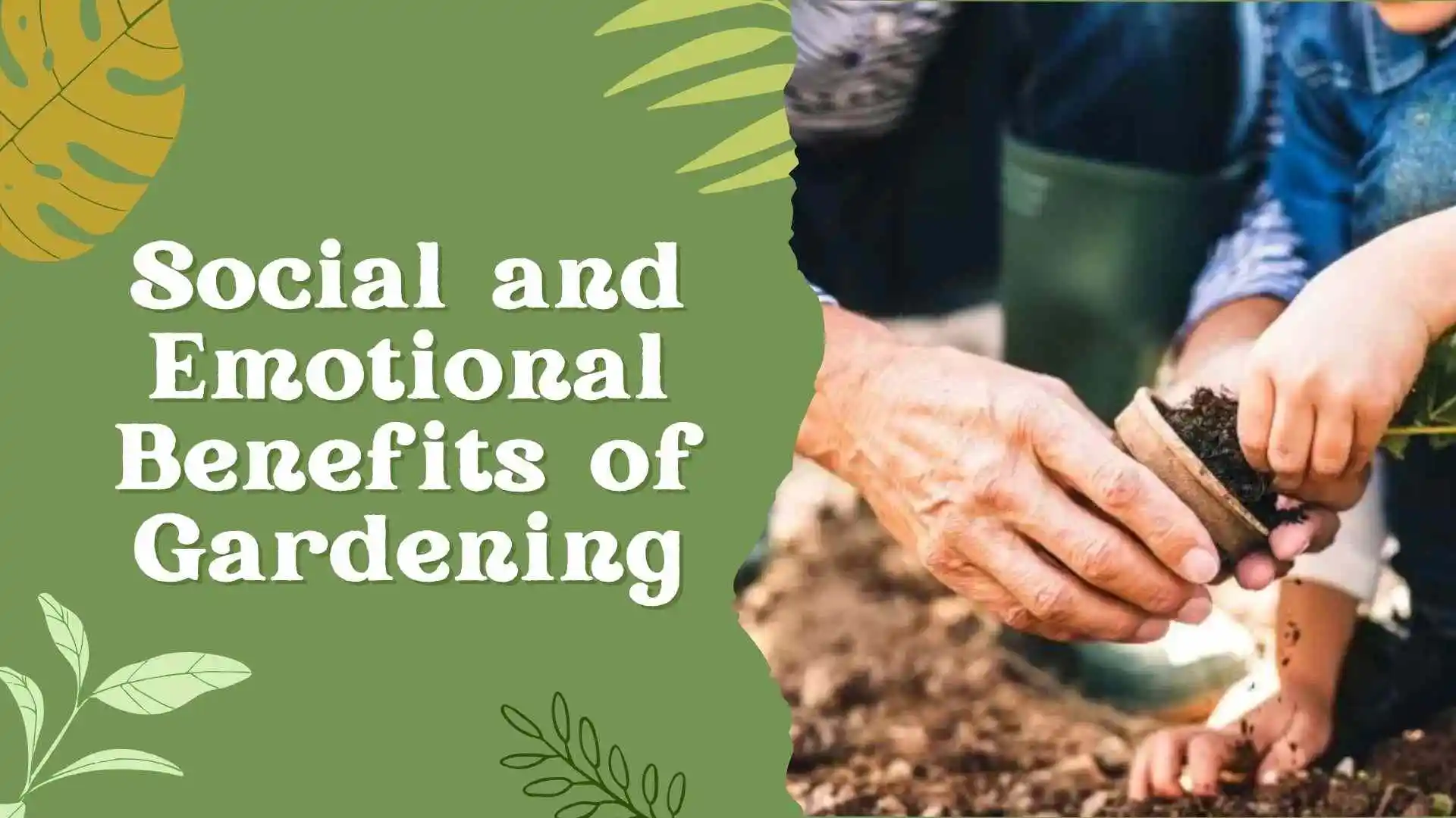 Social and Emotional Benefits of Gardening