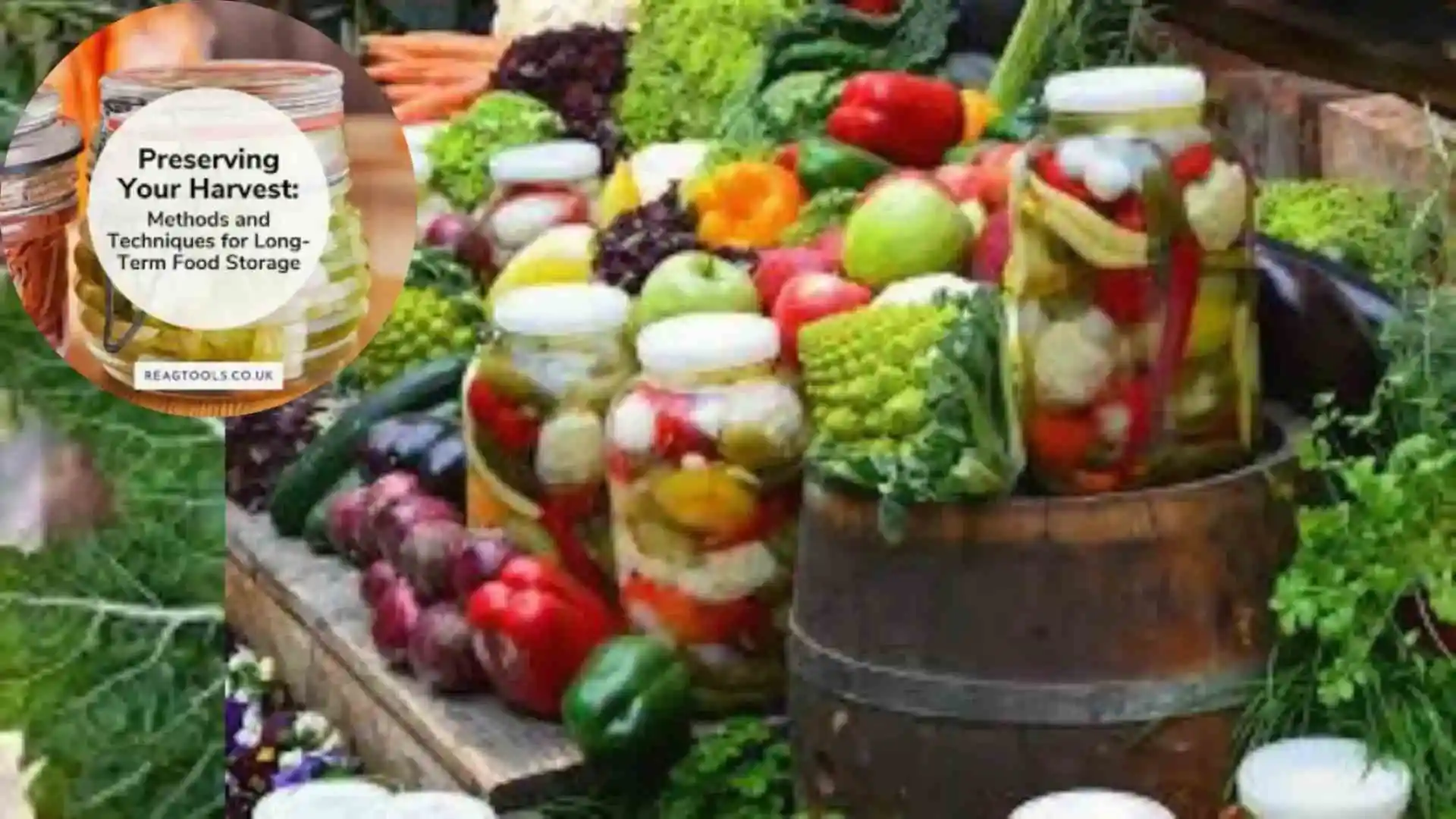 Storing and Preserving Your Harvest