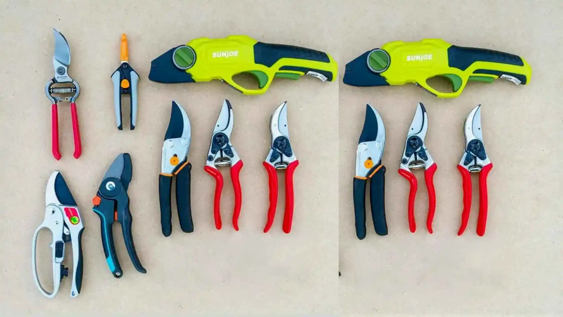The Best Pruners