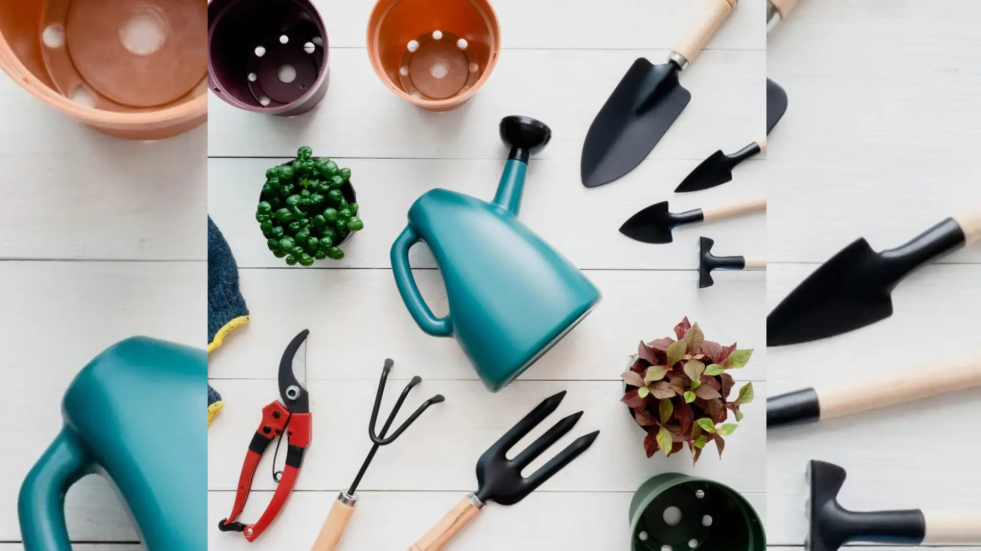 Tools You Need for Vertical and Indoor Gardens