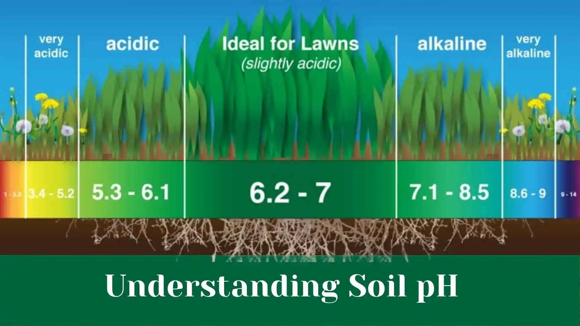 Understanding Soil pH
