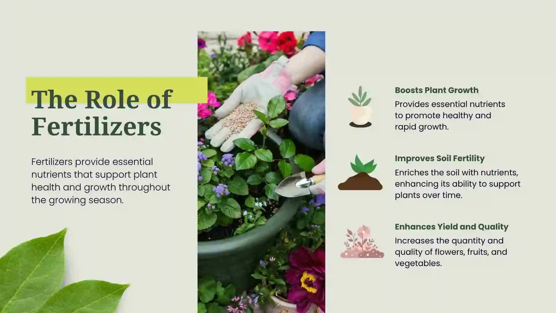 Using Organic Fertilizers and Composting Effectively