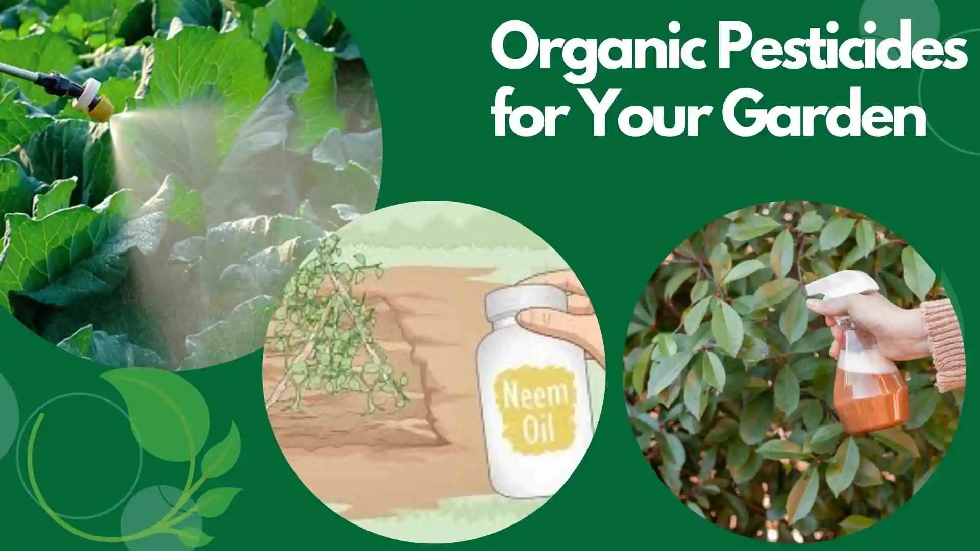 Using Organic Pesticides Safely in Your Garden