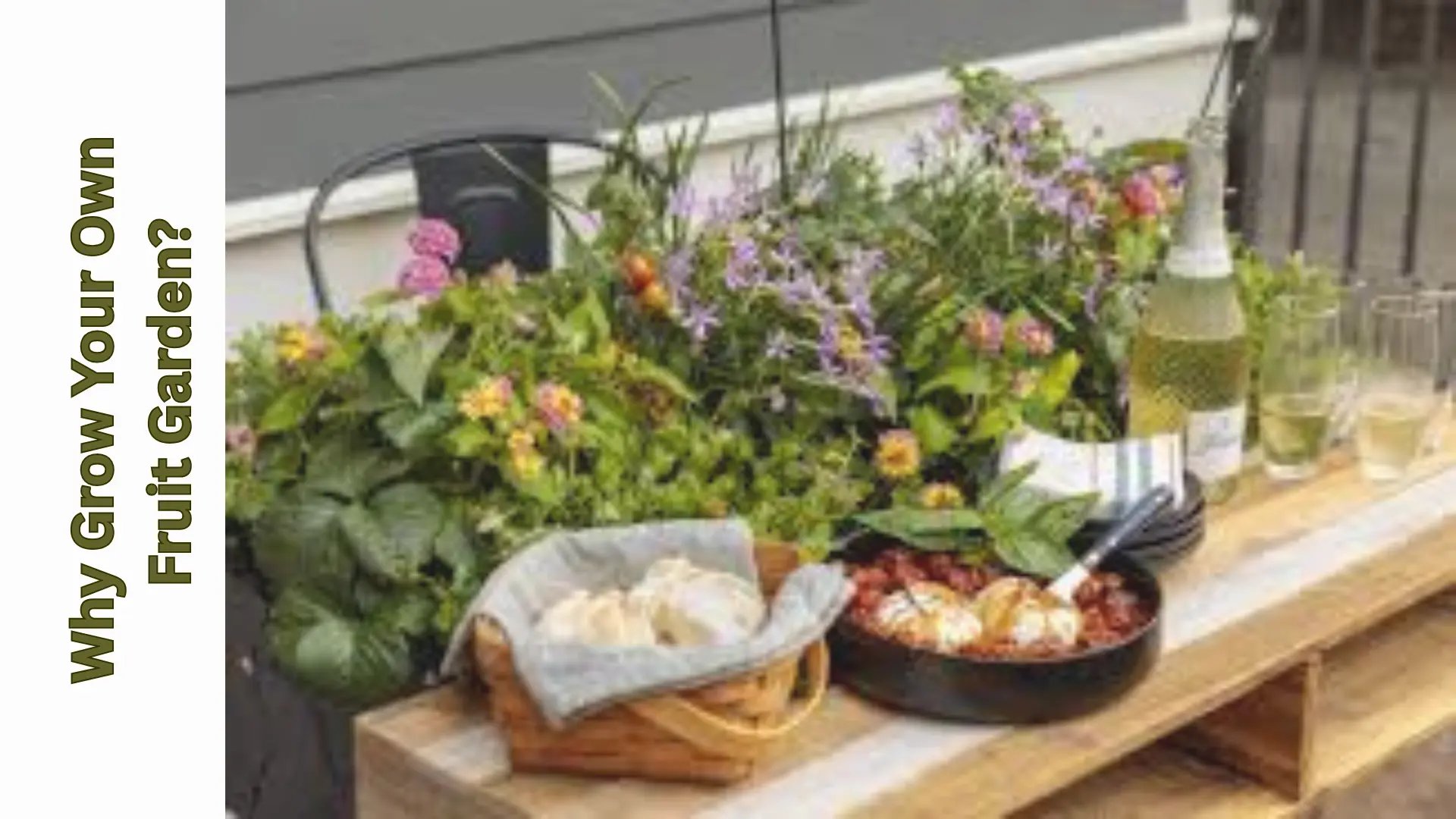 Why Grow Your Own Fruit Garden