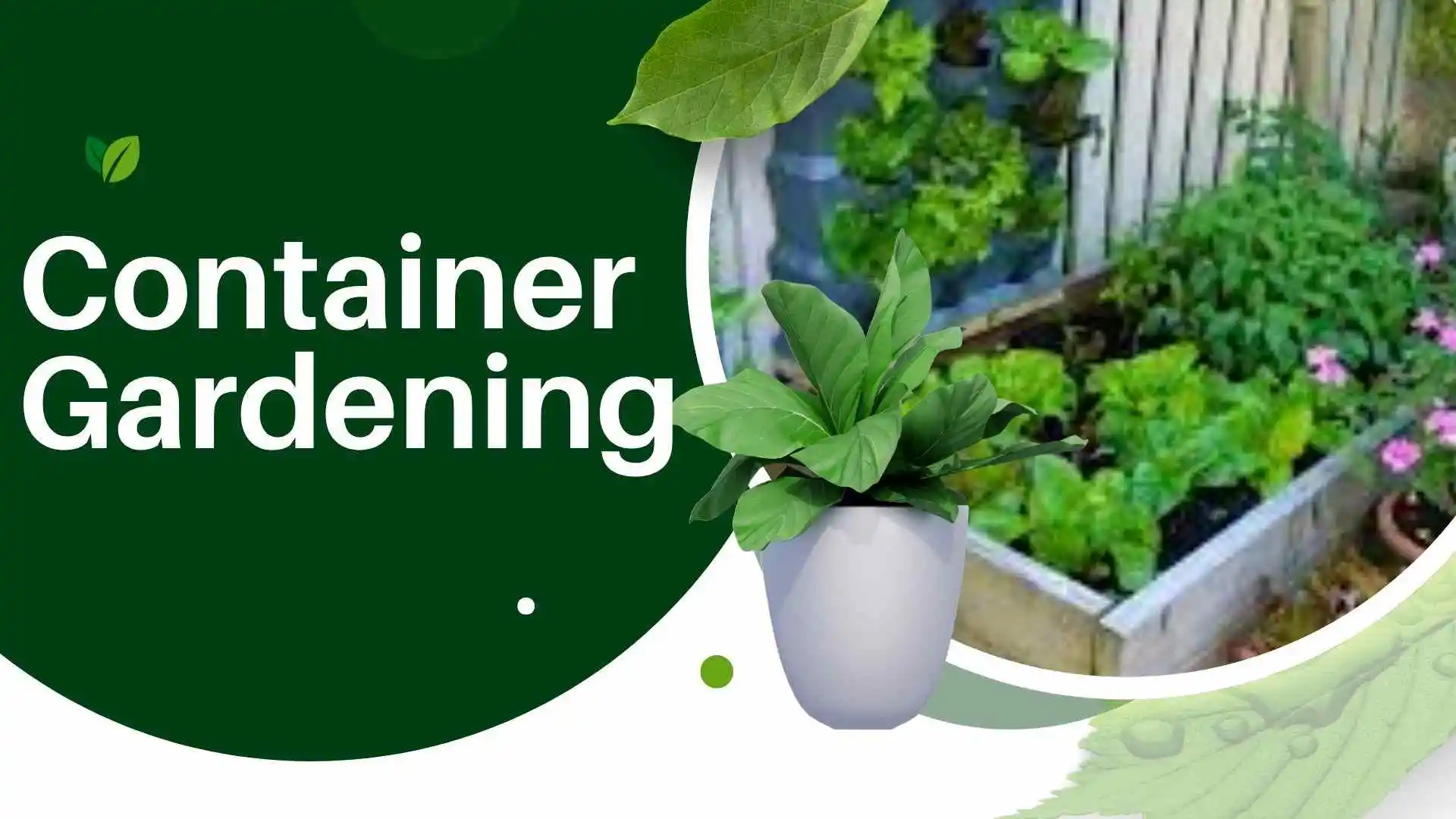 container gardening