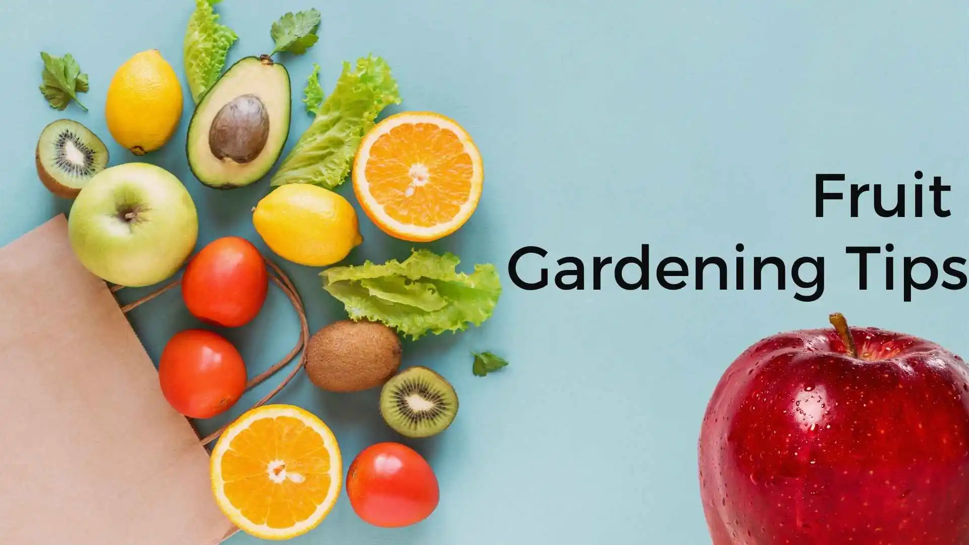 fruit gardening