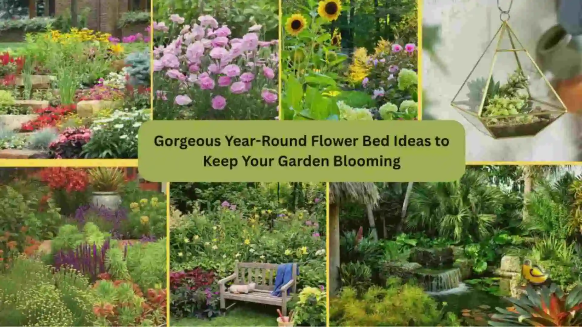 gorgeous year round flower