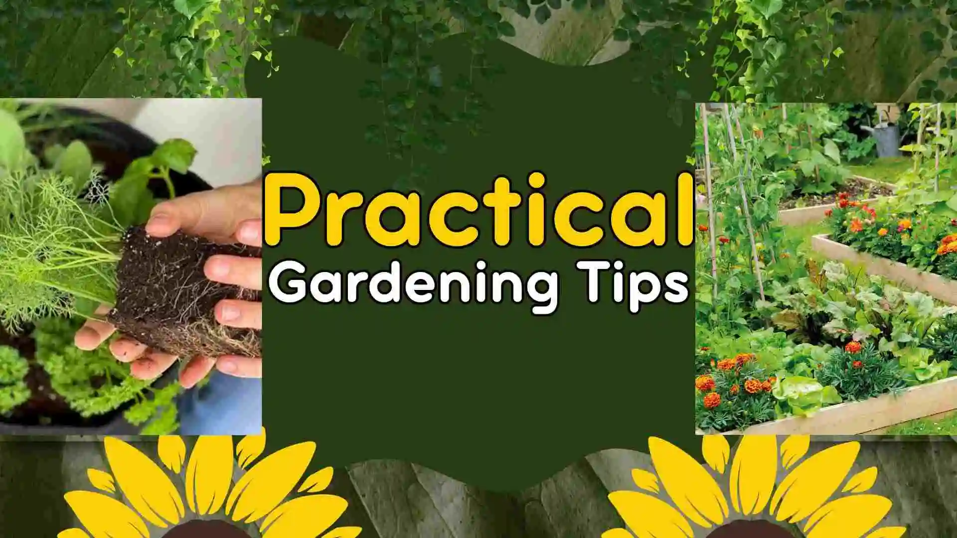 practical gardening tips