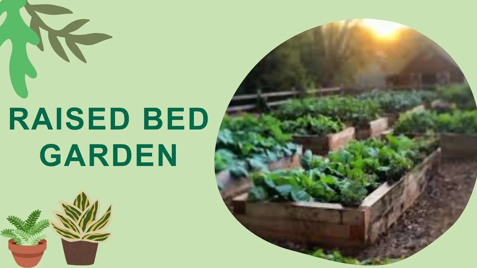 raised bed garden